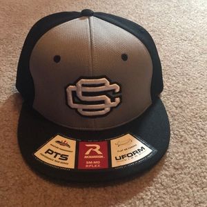 South Carolina Gamecocks baseball hat